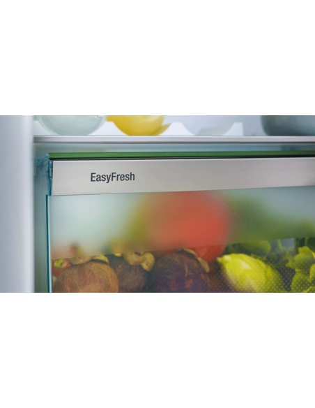 Chłodziarka stołowa  Rsdci 1620 PLUS