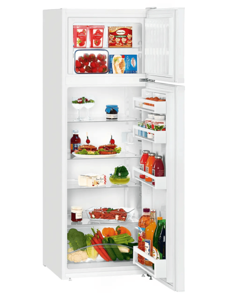Automatyczna chłodziarko-zamrażarka z systemem SmartFrost CTPe 251-26